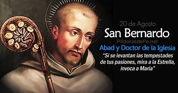 Hoy, celebramos a San Bernardo de Claraval, Abad. Doctor de la ...
